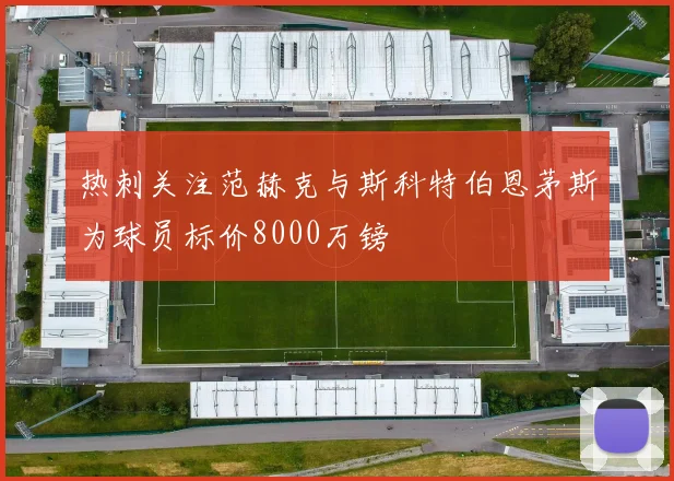 热刺关注范赫克与斯科特伯恩茅斯为球员标价8000万镑